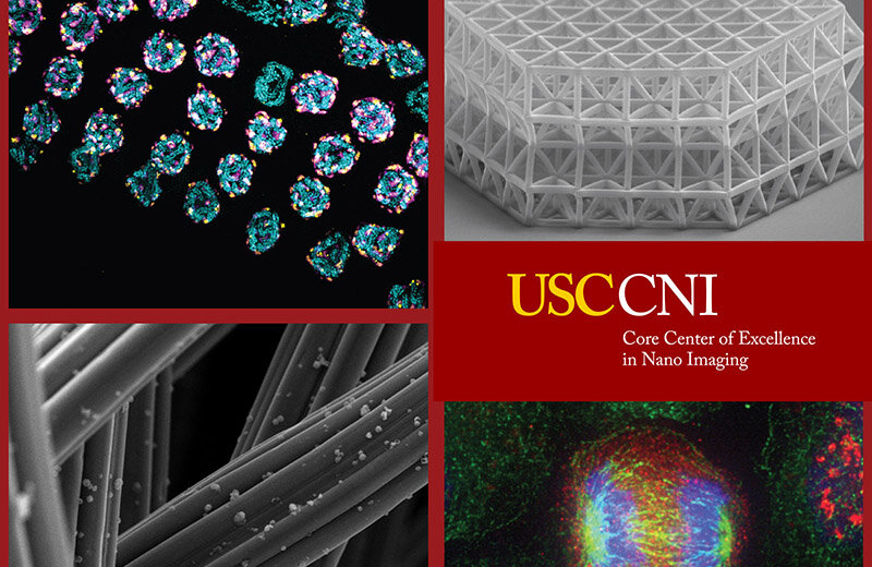 Image: The new cryogenic electron microscopy facility at USC is housed in the Core Center of Excellence in Nano Imaging. Credit: Core Center of Excellence in Nano Imaging.