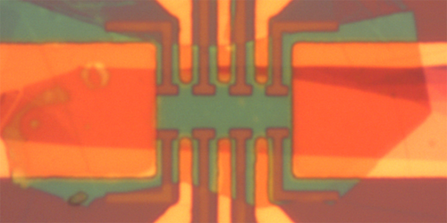 A strong enough magnetic field destroys superconductivity even at absolute zero. But in some materials, known as type-II superconductors, superconductivity and magnetic-field-induced vortices can coexist before that threshold is crossed. Type-II superconductivity becomes more fragile as the superconductor becomes thinner. Eventually, some theorists say, the combination of an applied magnetic field and two dimensionality begets a Bose metal, a finite-resistance state whose charge carriers, like those in a superconductor, are Cooper-paired electrons. Now Xiaoxiang Xi of Nanjing University, China, and his collaborators have found evidence consistent with a Bose metal in atomically thin films of niobium diselenide (NbSe2) [1].