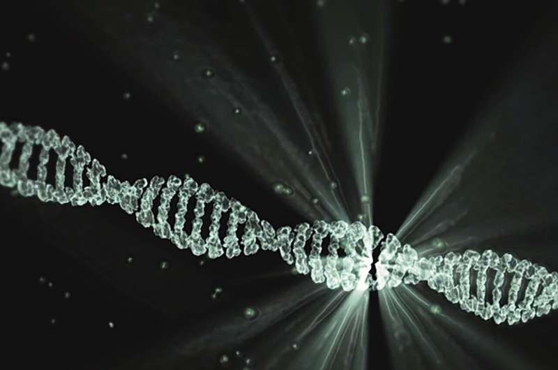 Superconducting DNA